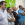 Presentación novela Andrea París